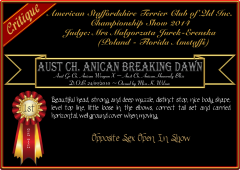 Anican Breaking Dawn.png